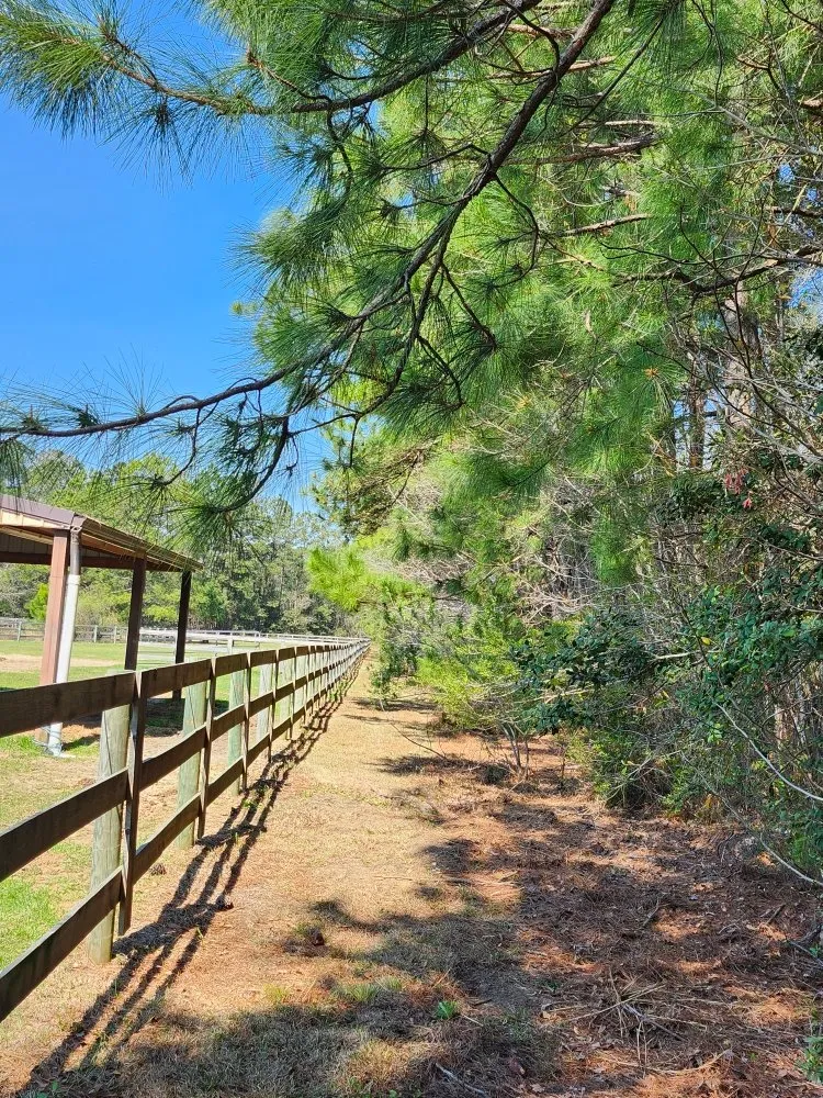 Top-rated yard maintenance experts serving Conway, SC - Don”t Do It Yourself Lawn Care