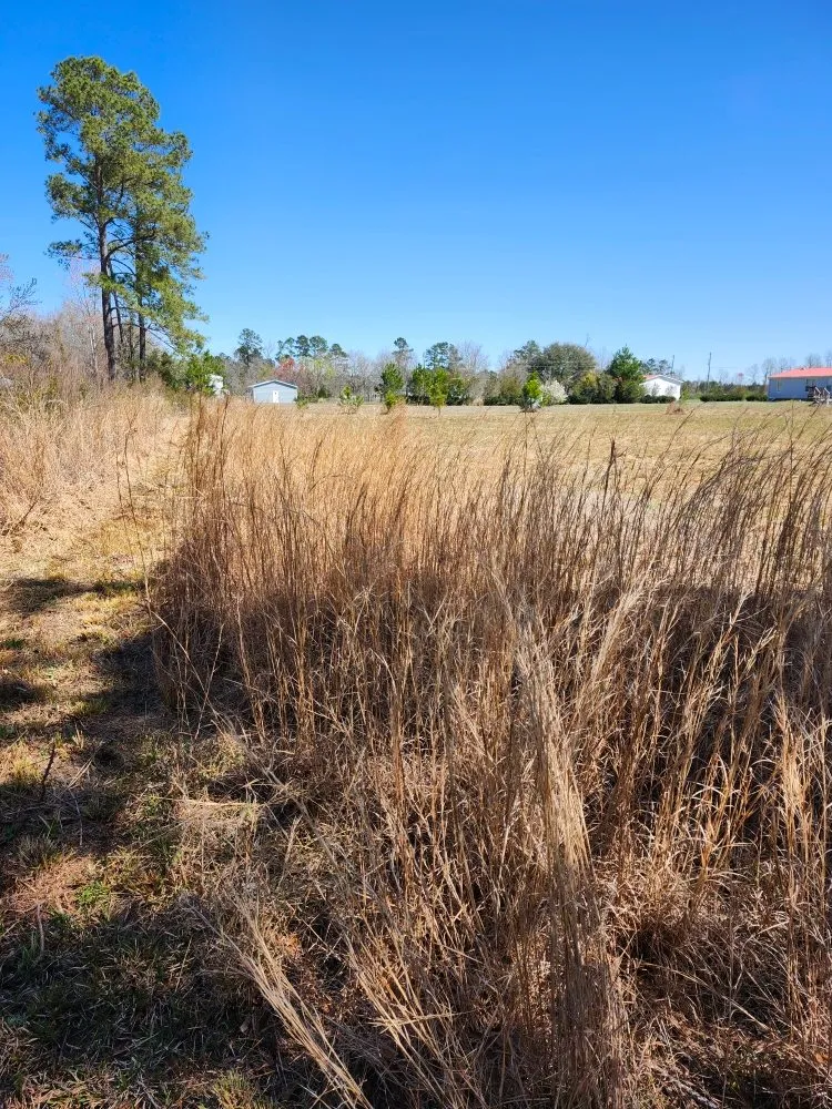 Top-rated lawn care service experts serving Conway, SC - Don”t Do It Yourself Lawn Care