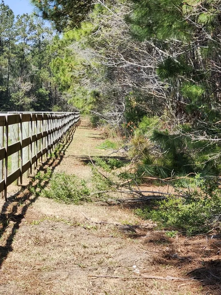 Expert landscape design experts serving Conway, SC - Don”t Do It Yourself Lawn Care