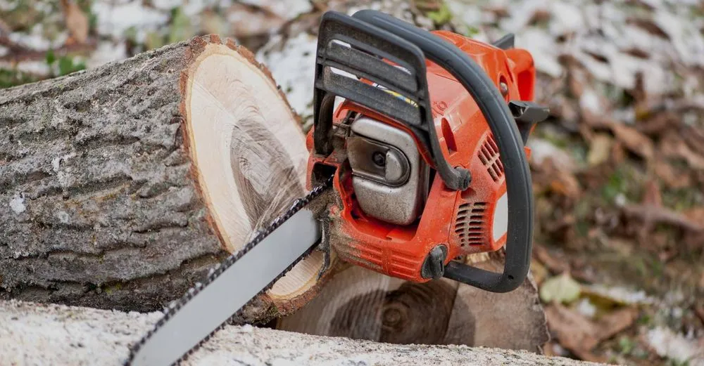 Professional yard cleanup service near you across Eustis, FL - Dontae's Tree & Landscaping Service