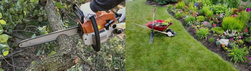 Professional landscape design for year-round maintenance in Eustis, FL by Dontae's Tree & Landscaping Service