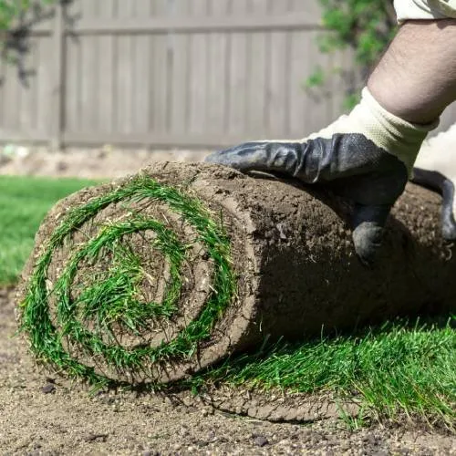 Trusted landscaping services for beautiful yards in Eustis, FL by Dontae's Tree & Landscaping Service