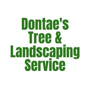 Trusted landscaping services for year-round maintenance across Eustis, FL - Dontae's Tree & Landscaping Service