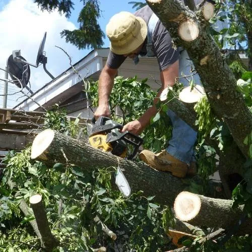 Affordable residential landscaping in Eustis, FL - Dontae's Tree & Landscaping Service