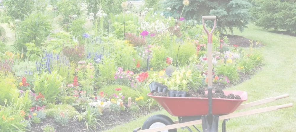 Affordable landscape design for year-round maintenance across Eustis, FL - Dontae's Tree & Landscaping Service