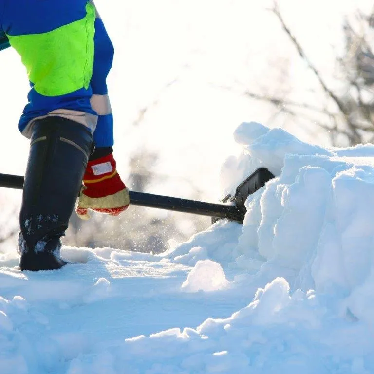 Local yard maintenance near you across Exton, PA - Dooley-Pyne Landscape Company