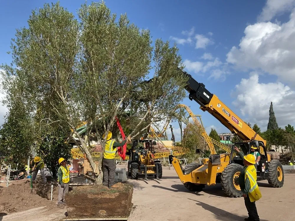 Top-rated landscaping services in Apopka, FL by Dora Landscaping