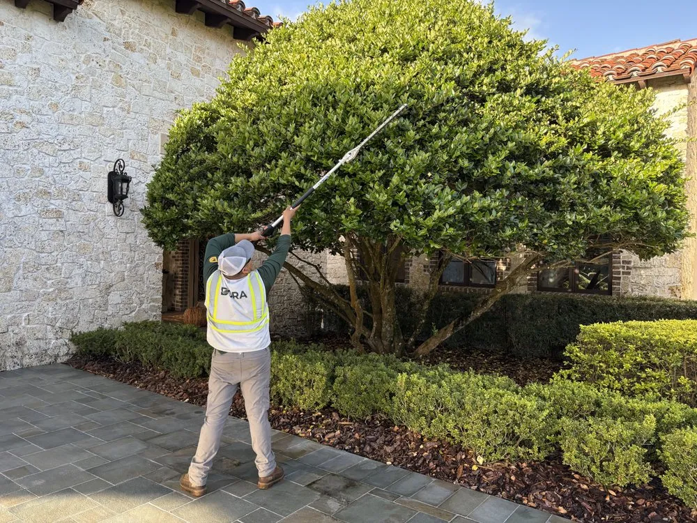 Reliable residential landscaping for homes in Apopka, FL by Dora Landscaping