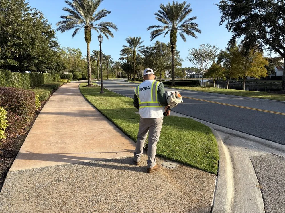 Affordable outdoor landscaping in Apopka, FL by Dora Landscaping