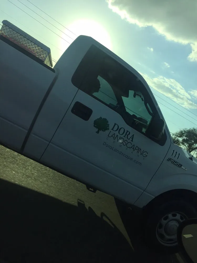 Reliable lawn care service in Apopka, FL - Dora Landscaping