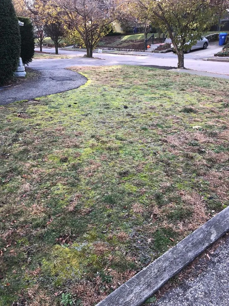 Local residential landscaping for outdoor upgrades across Marlboro, MA - Dorabella's Landscape & Construction