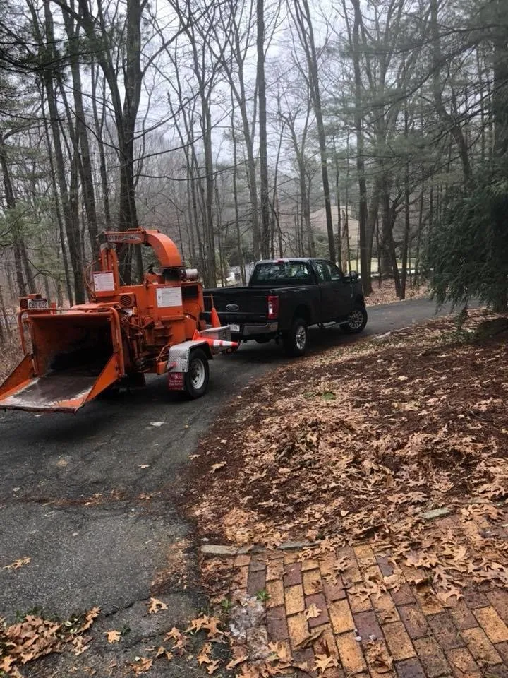 Affordable lawn mowing service in Marlboro, MA - Dorabella's Landscape & Construction