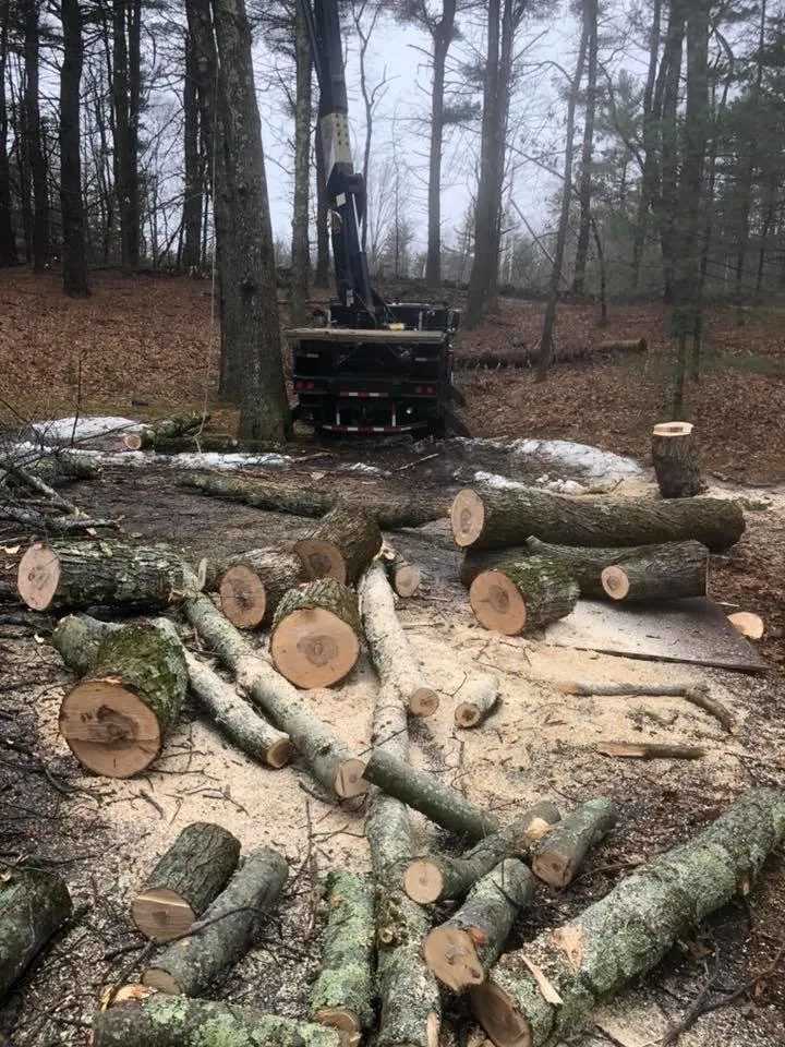 Expert outdoor landscaping in Marlboro, MA - Dorabella's Landscape & Construction
