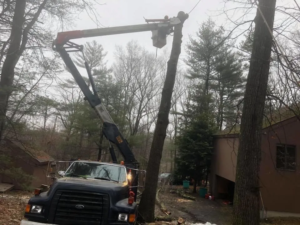 Trusted yard maintenance experts serving Marlboro, MA - Dorabella's Landscape & Construction