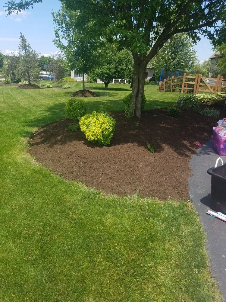 Local landscape design experts serving Batavia, IL - Dorado’s Landscaping Service