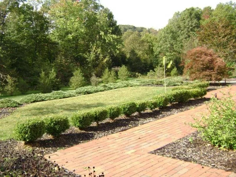 Local yard maintenance experts serving Little Rock, AR - Doremus Landscape & Sprinkler