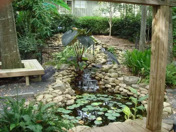 Professional yard cleanup service in Little Rock, AR by Doremus Landscape & Sprinkler