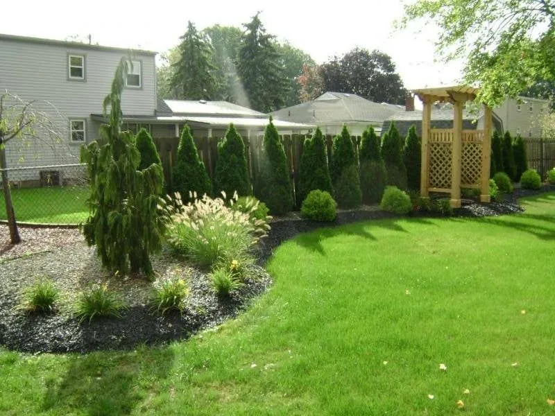 Top-rated yard cleanup service in Little Rock, AR - Doremus Landscape & Sprinkler