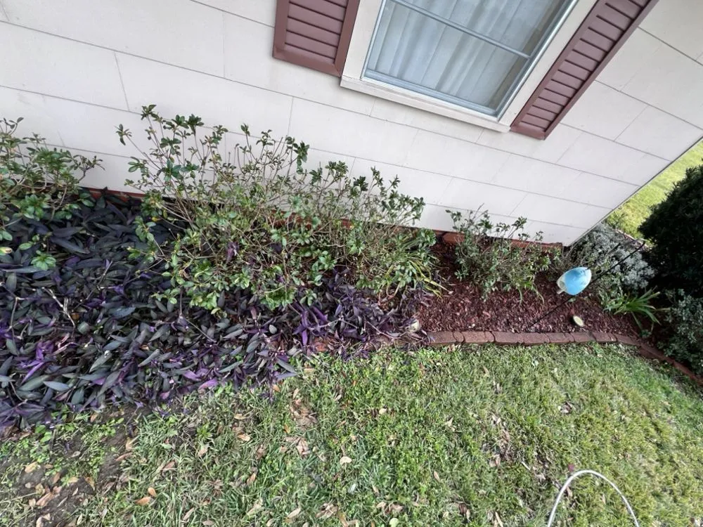 Trusted lawn mowing service with custom design across New Iberia, LA - Dore’s Landscapes