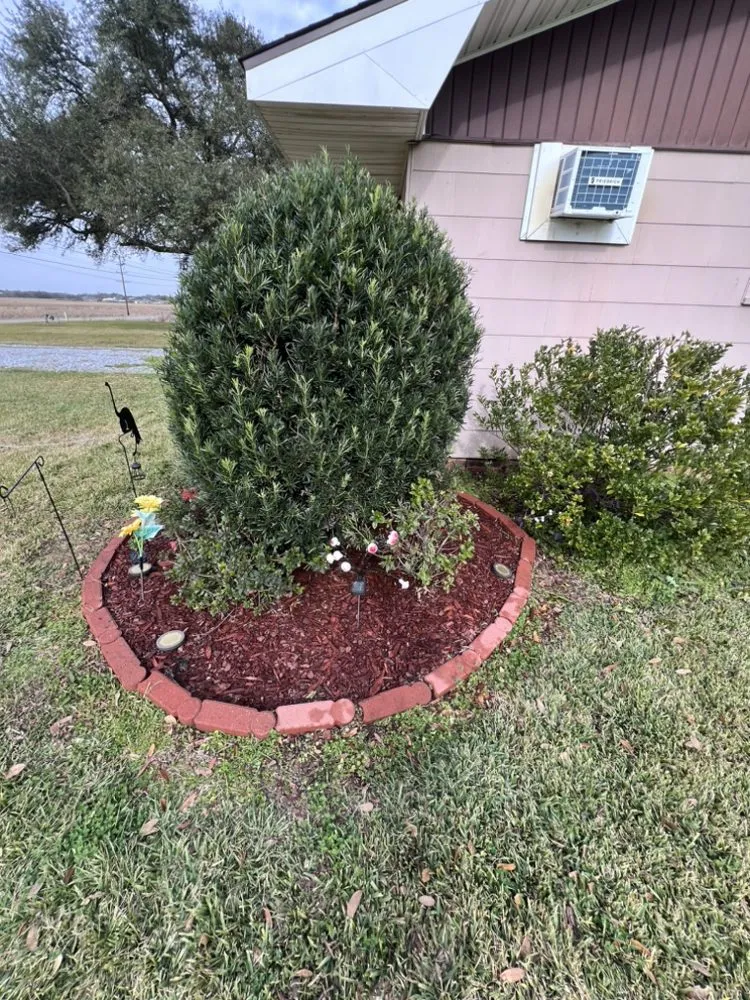 Trusted landscaping services in New Iberia, LA - Dore’s Landscapes