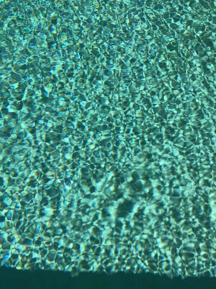 Custom garden landscaping for year-round maintenance in El Paso, TX by Dorian Construction Group