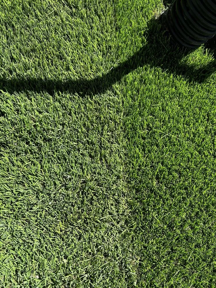 Trusted garden landscaping in El Paso, TX by Dorian Construction Group