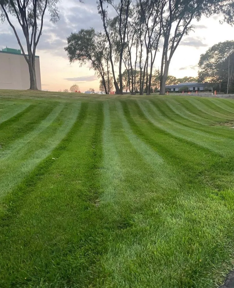 Custom landscape design in Minneapolis, MN - Dorin Design