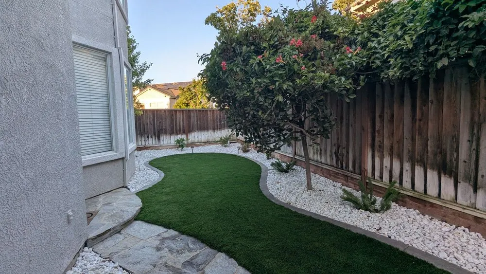 Professional lawn care service for year-round maintenance in Sunnyvale, CA by Doro’s Landscaping