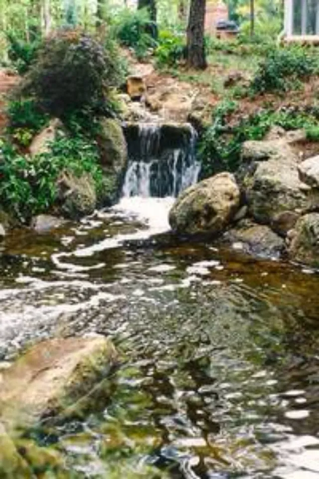 Expert landscape design in Collierville, TN by Dorriety Landscape