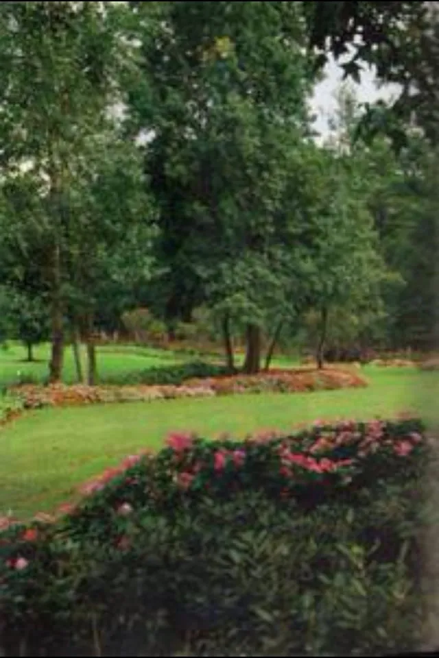 Trusted landscaping services in Collierville, TN by Dorriety Landscape