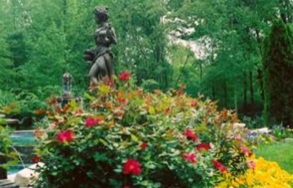 Affordable outdoor landscaping in Collierville, TN by Dorriety Landscape