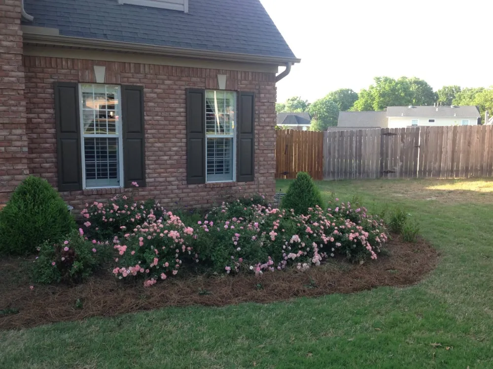 Professional yard cleanup service in Collierville, TN - Dorriety Landscape