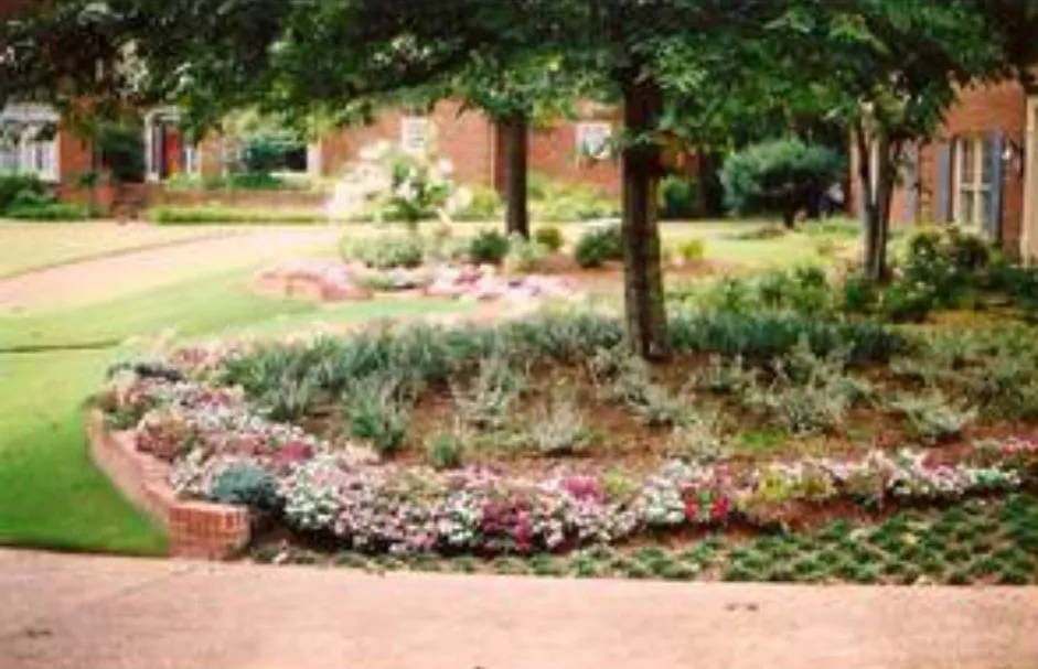 Reliable yard maintenance for homes across Collierville, TN - Dorriety Landscape