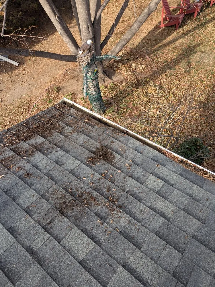 Reliable lawn care service experts serving Evans, CO - Dorsey Home and Lawn Services