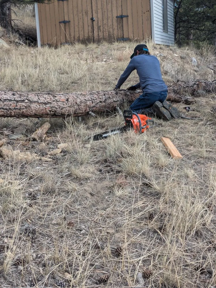 Affordable lawn mowing service in Evans, CO by Dorsey Home and Lawn Services