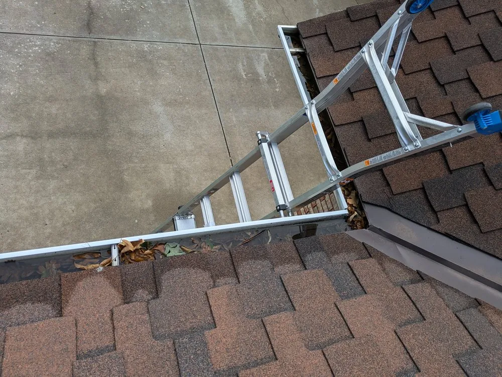 Expert residential landscaping near you in Evans, CO by Dorsey Home and Lawn Services