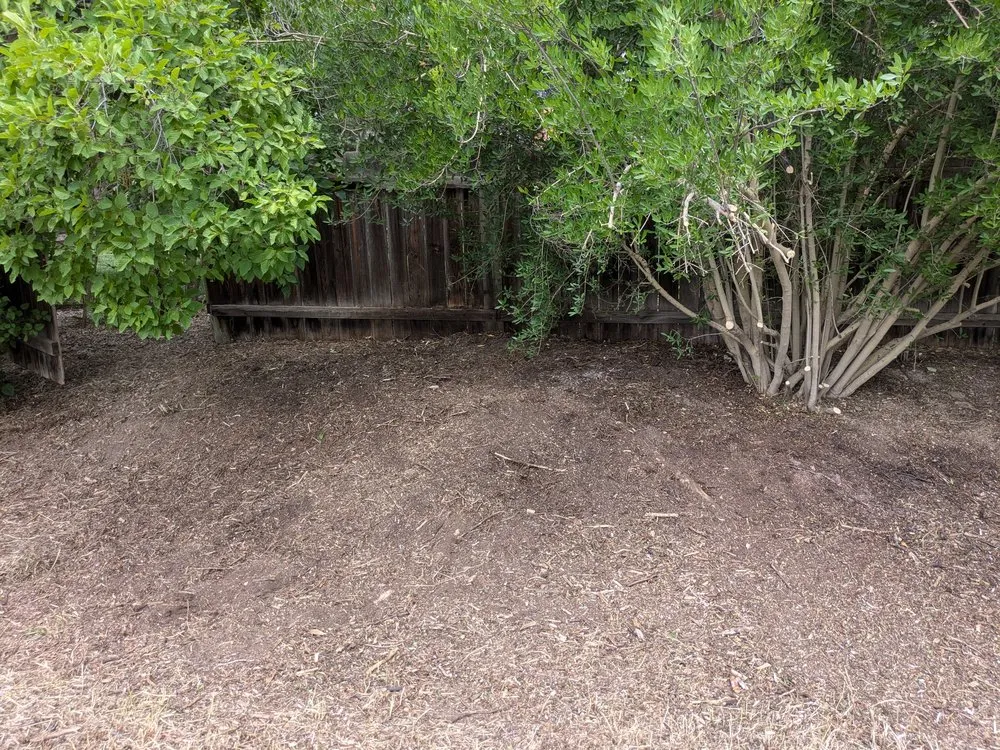 Reliable lawn care service experts serving Evans, CO - Dorsey Home and Lawn Services