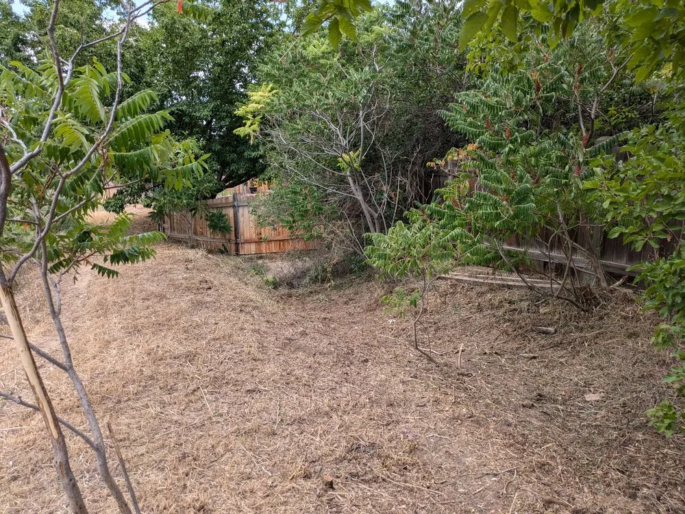 Professional outdoor landscaping for residential properties across Evans, CO - Dorsey Home and Lawn Services