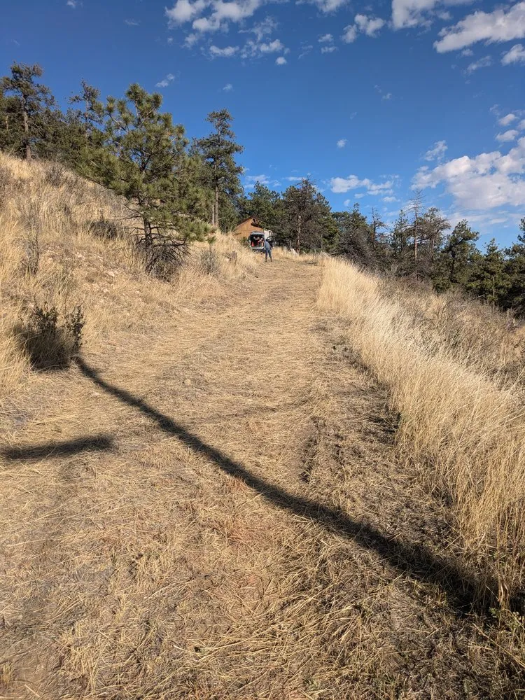 Reliable yard maintenance experts serving Evans, CO - Dorsey Home and Lawn Services