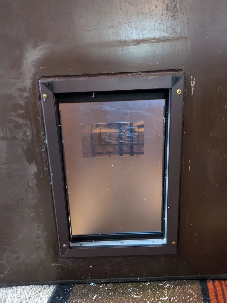 Expert yard cleanup service in Evans, CO by Dorsey Home and Lawn Services