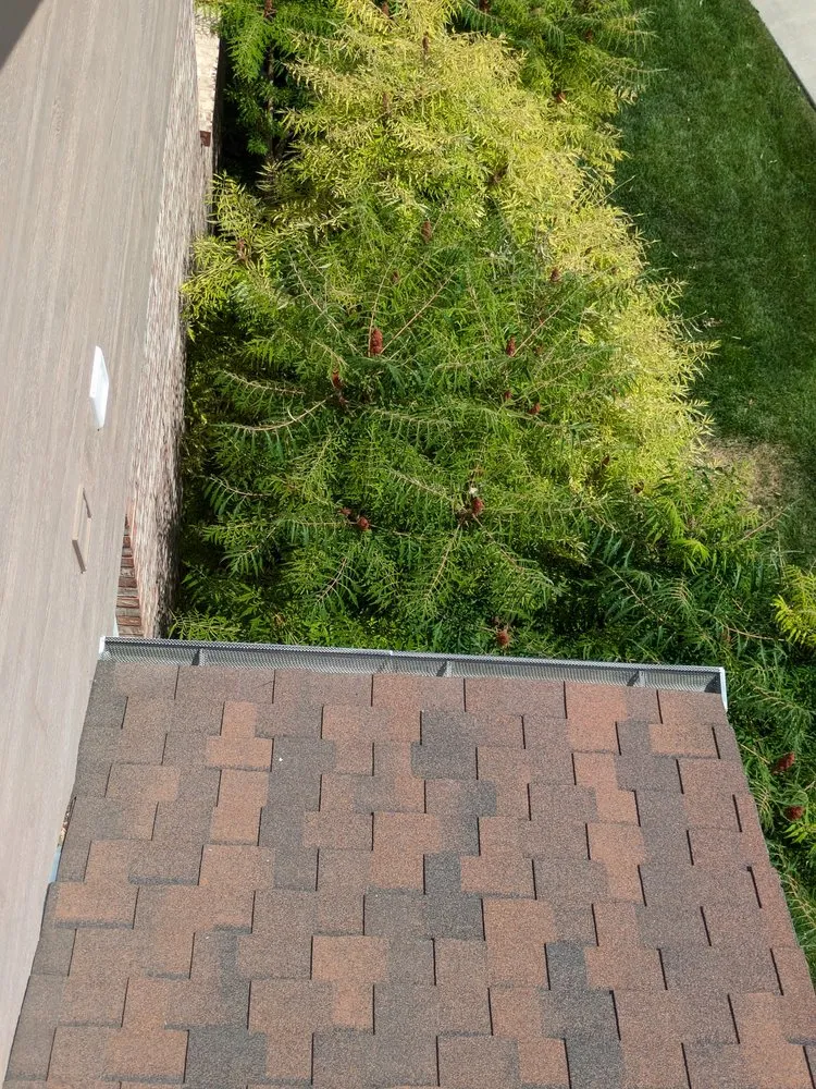 Professional landscaping services in Evans, CO - Dorsey Home and Lawn Services