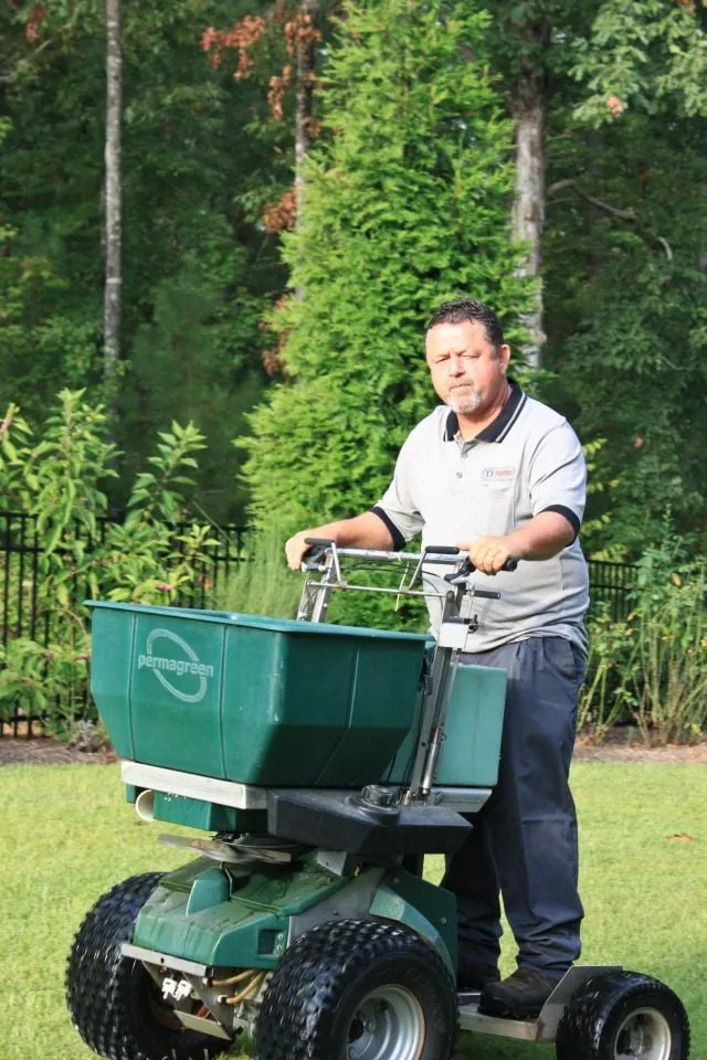 Expert yard cleanup service in Jackson, GA - Dorsey Services