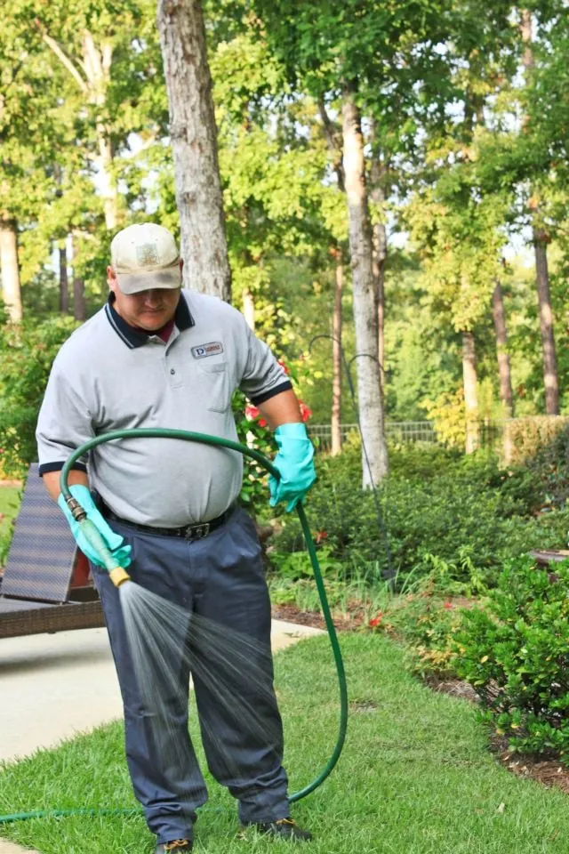 Affordable landscaping services experts serving Jackson, GA - Dorsey Services
