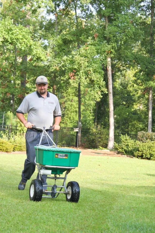 Expert landscape design for outdoor upgrades across Jackson, GA - Dorsey Services