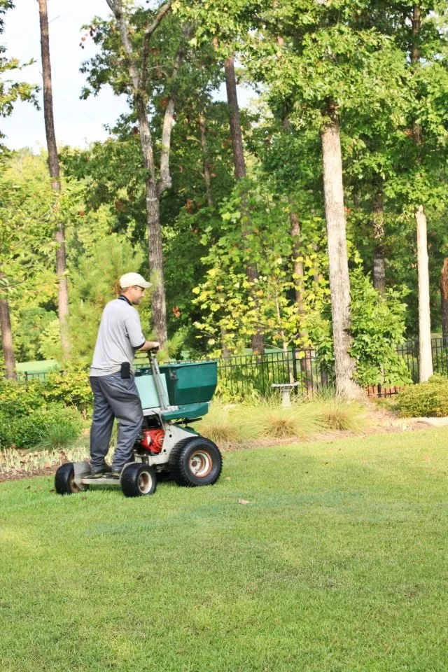 Top-rated yard maintenance in Jackson, GA by Dorsey Services