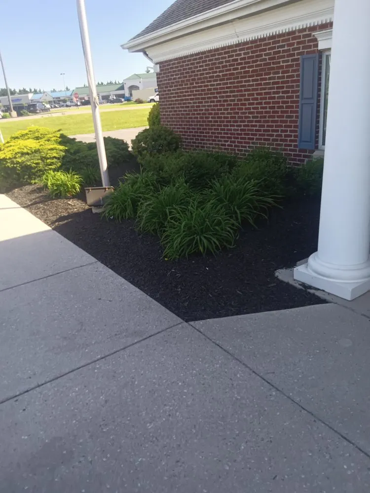 Affordable lawn mowing service in Thomasville, PA by Dorsey's Property Maintenance