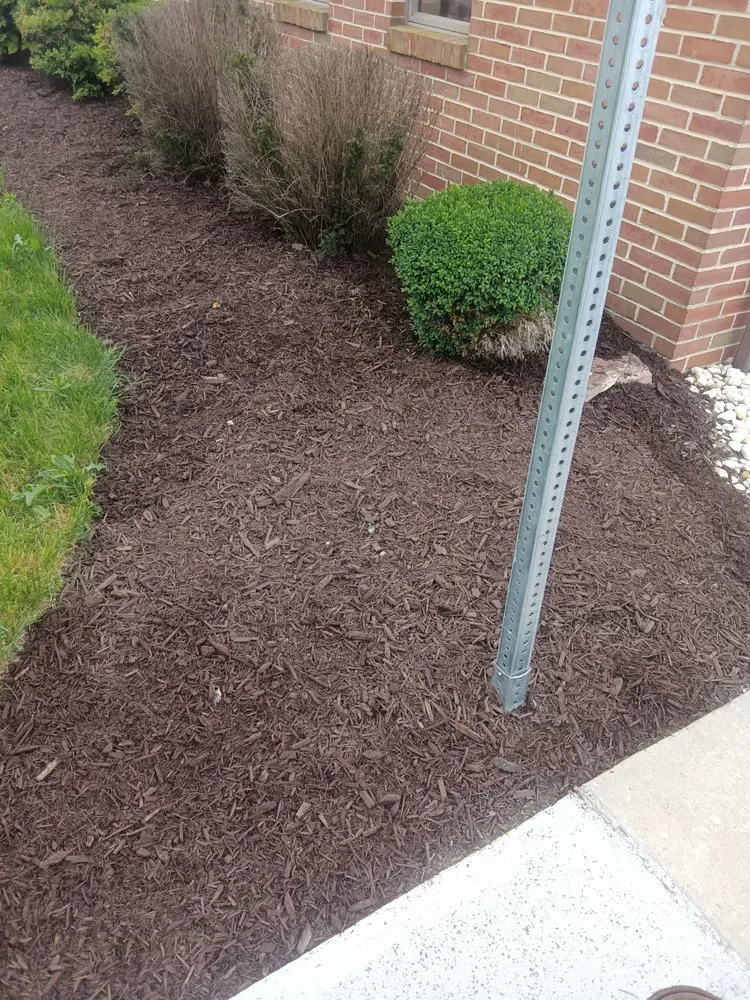 Custom yard cleanup service experts serving Thomasville, PA - Dorsey's Property Maintenance