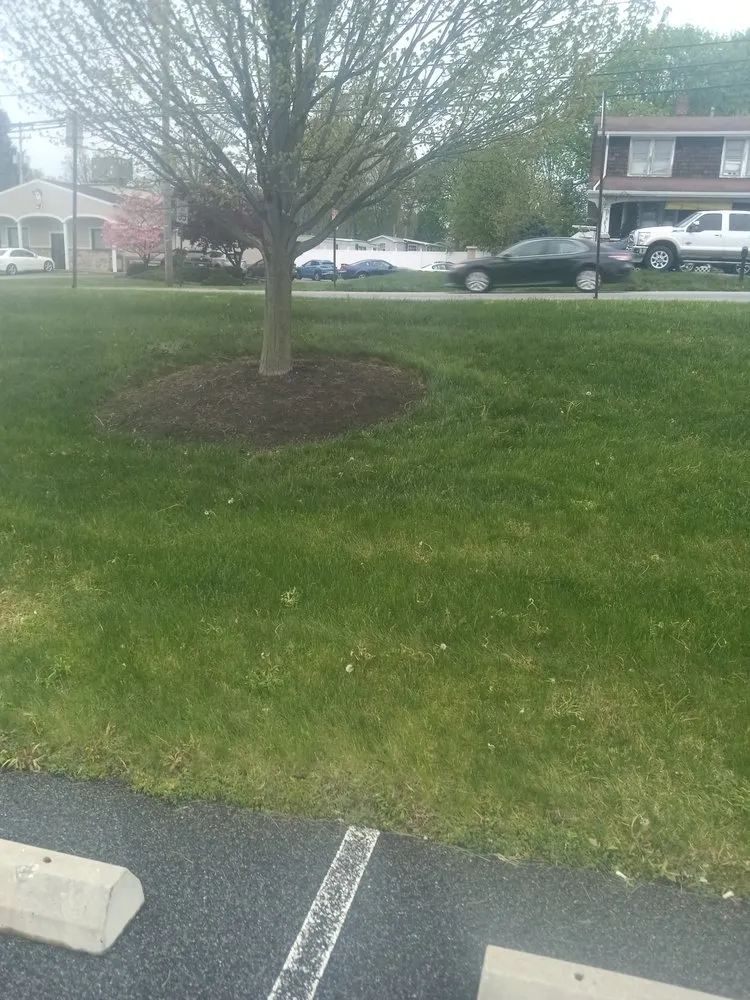 Local lawn care service experts serving Thomasville, PA - Dorsey's Property Maintenance