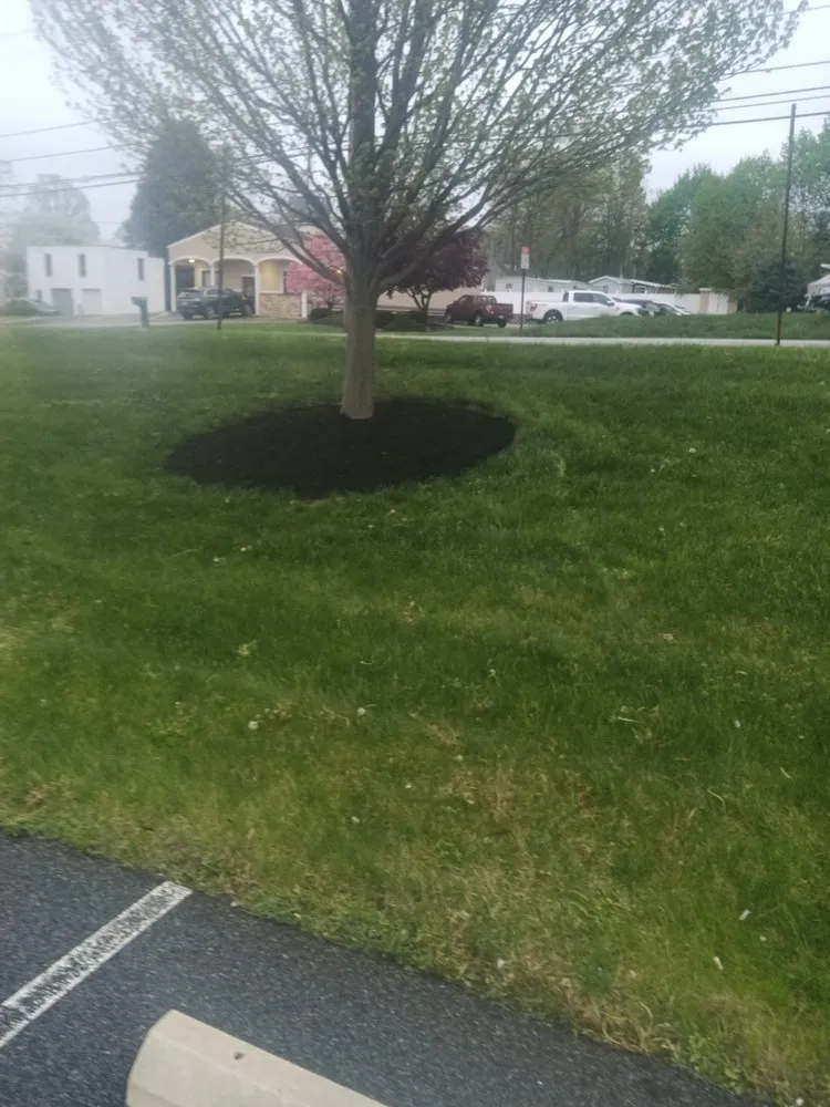 Affordable yard maintenance in Thomasville, PA - Dorsey's Property Maintenance