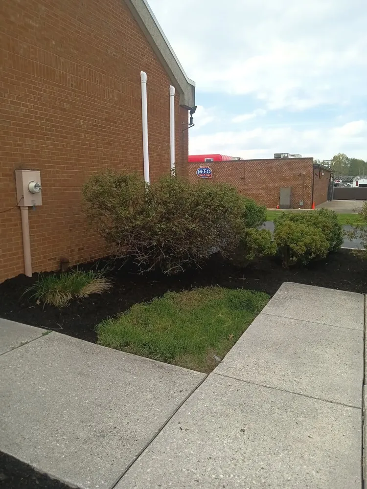 Reliable yard cleanup service experts serving Thomasville, PA - Dorsey's Property Maintenance